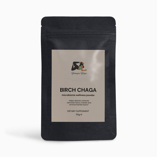 Birch Chaga Microbiome Wellness Powder