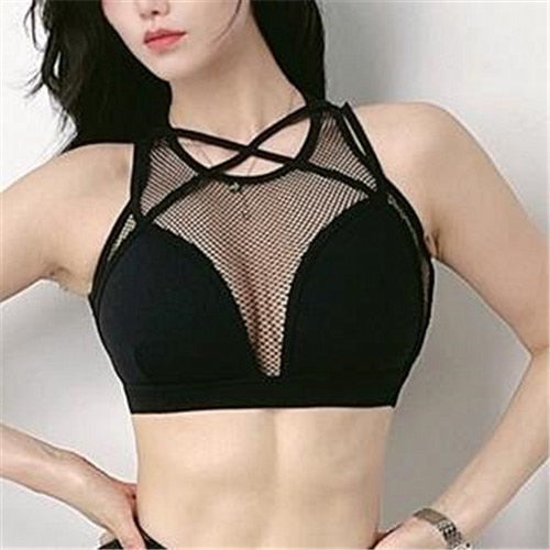 Yoga Set Seamless Gym Pad Mesh Iconic Sports Bra High Waist Scrunch